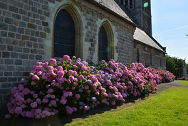 L’église paroissiale Saint-Pierre de Verchain-Maugré