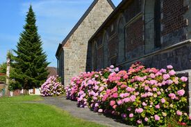 L’église paroissiale Saint-Pierre de Verchain-Maugré