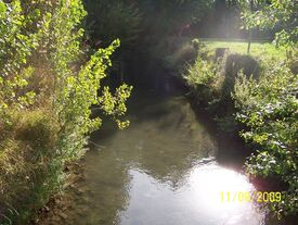 La rivière L'Ecaillon